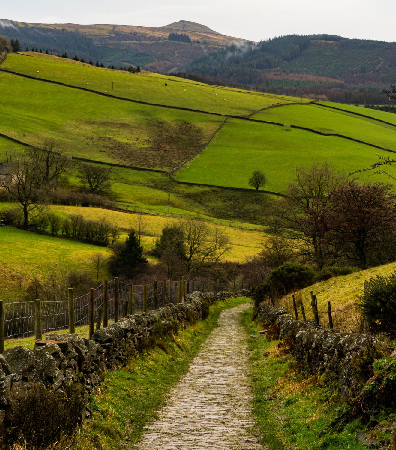 Teggs Nose, Macclesfield, Peak District